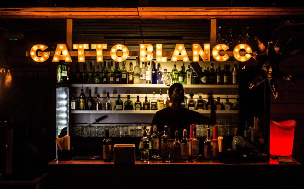 Gatto Blanco Party Hotel مدينة باناما المظهر الخارجي الصورة